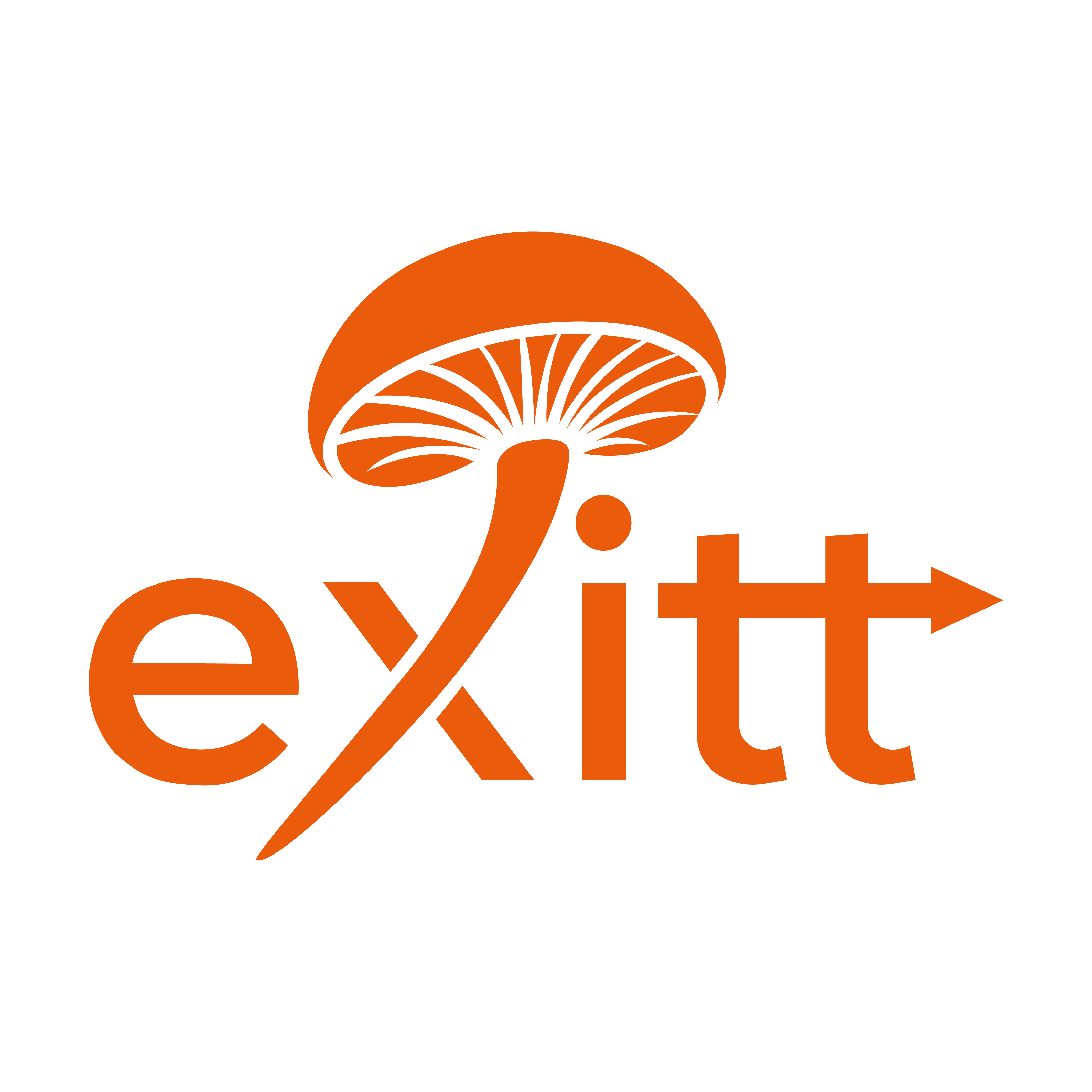 EXITT - Traitement bois Hauts-de-France