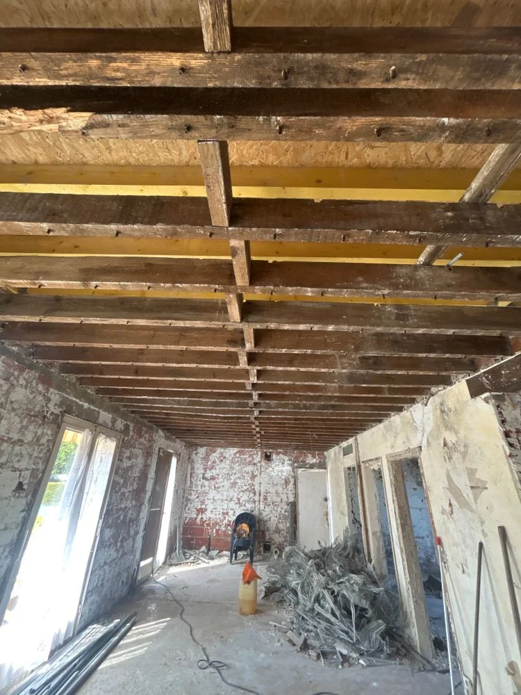 Traitement champignon lignivore Hauts-de-France - Traitement coniophore - 80m² EXITT