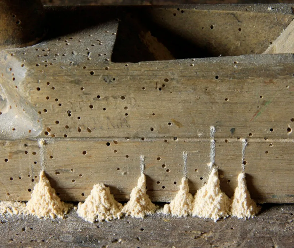 Boiserie humide